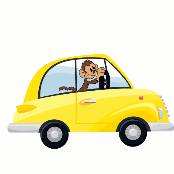 monkey-driving-a-car.gif