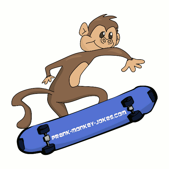 This Cute Monkey Is Riding A Skateboard.