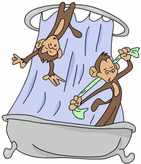Two Monkeys In Shower